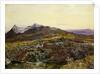 Cuillin Ridge, Skye from Sligechan, 19th century by John William Inchbold
