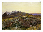 Cuillin Ridge, Skye from Sligechan, 19th century by John William Inchbold