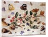 A Study of Flowers and Insects by Jan van the Elder Kessel