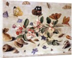 A Study of Flowers and Insects by Jan van the Elder Kessel