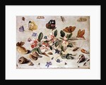 A Study of Flowers and Insects by Jan van the Elder Kessel
