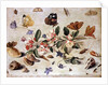 A Study of Flowers and Insects by Jan van the Elder Kessel
