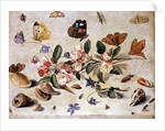 A Study of Flowers and Insects by Jan van the Elder Kessel