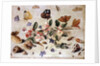 A Study of Flowers and Insects by Jan van the Elder Kessel
