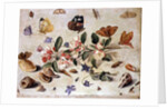 A Study of Flowers and Insects by Jan van the Elder Kessel