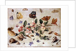 A Study of Flowers and Insects by Jan van the Elder Kessel