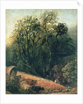 A Cornfield Bordered by Trees, 19th century by Samuel Palmer