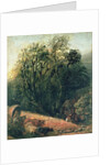 A Cornfield Bordered by Trees, 19th century by Samuel Palmer