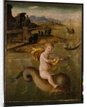 Arion riding on a Dolphin, c.1509-10 by Francesco Bianchi Ferrari
