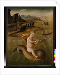 Arion riding on a Dolphin, c.1509-10 by Francesco Bianchi Ferrari