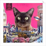 Urban cat, 2015 by Anne Storno