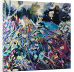 Cow Parsley by rose lascelles