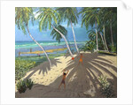 Palm trees, Clovelly beach, Barbados, 2013 by Andrew Macara