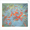 Goldfish, 2010 by Andrew Macara
