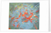 Goldfish, 2010 by Andrew Macara