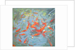 Goldfish, 2010 by Andrew Macara