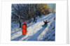 Red sledge, Allestree Park Derby, 2014 by Andrew Macara