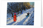 Red sledge, Allestree Park Derby, 2014 by Andrew Macara