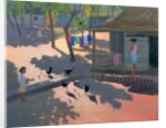 Hens and Chickens, Cuba, 1997 by Andrew Macara