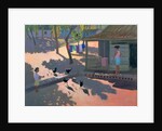 Hens and Chickens, Cuba, 1997 by Andrew Macara