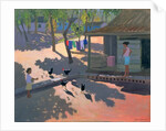 Hens and Chickens, Cuba, 1997 by Andrew Macara