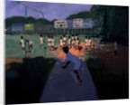 Cricket, Sri Lanka, 2001 by Andrew Macara