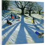 Winter Tree, Snow Sledgers, Calke Abbey, Derby by Andrew Macara