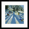 Winter Tree, Snow Sledgers, Calke Abbey, Derby by Andrew Macara