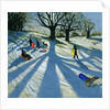 Winter Tree, Snow Sledgers, Calke Abbey, Derby by Andrew Macara