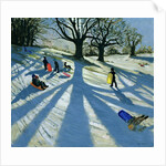 Winter Tree, Snow Sledgers, Calke Abbey, Derby by Andrew Macara