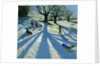 Winter Tree, Snow Sledgers, Calke Abbey, Derby by Andrew Macara