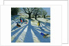 Winter Tree, Snow Sledgers, Calke Abbey, Derby by Andrew Macara