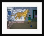 Tiger, India by Andrew Macara