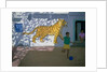 Tiger, India by Andrew Macara