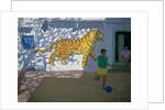 Tiger, India by Andrew Macara