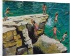 Detail of Jumping into the sea by Andrew Macara