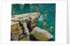 Detail of Jumping into the sea by Andrew Macara