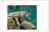 Detail of Jumping into the sea by Andrew Macara
