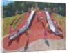Playground, Marketon Park, Derby, 2015 by Andrew Macara