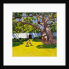Ancient Campor Tree, Vergelegen Estate, South Africa, 2010 by Andrew Macara