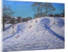 Two Tree shadows, Bolehill, Wirksworth, 2009 by Andrew Macara