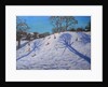 Two Tree shadows, Bolehill, Wirksworth, 2009 by Andrew Macara