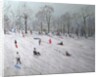 Tobogganers, Darley Park, 2009 by Andrew Macara