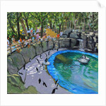 Penguin Pool, Madrid Zoo, 2015 by Andrew Macara