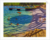 Tree shadows, Vrsar, Croatia, 2018 by Andrew Macara