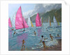 Pink and white sails, Lefkas, 2007 by Andrew Macara