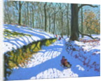 Sledging through the woods, Osmaston Park, Derby, 2018 by Andrew Macara
