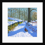 Sledging through the woods, Osmaston Park, Derby, 2018 by Andrew Macara