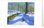 Sledging through the woods, Osmaston Park, Derby, 2018 by Andrew Macara