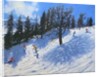 Spring skiers, Verbier, 2010 by Andrew Macara